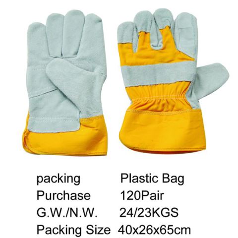 Glove01